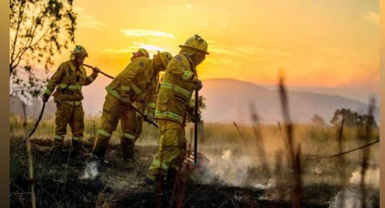 අධික උණුසුම නිසා වික්ටෝරියා ප්‍රාන්තයට දැඩි බලපෑම්